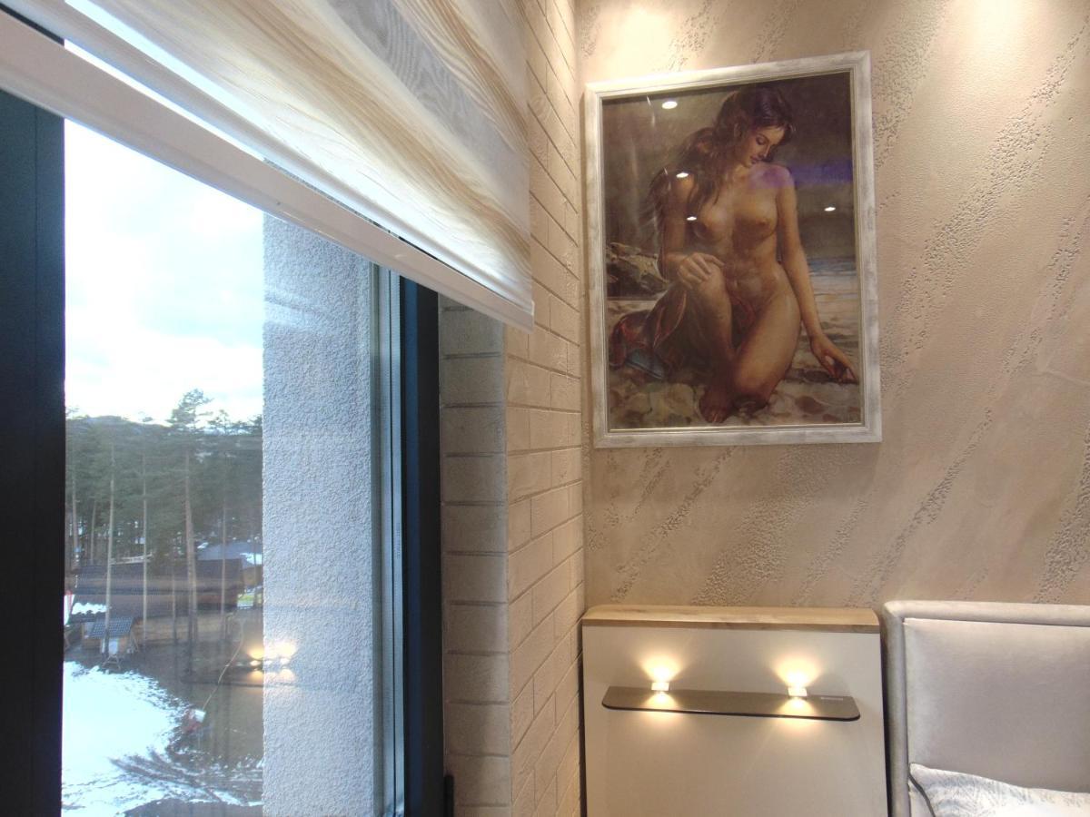 Apartment S33 Pekovic