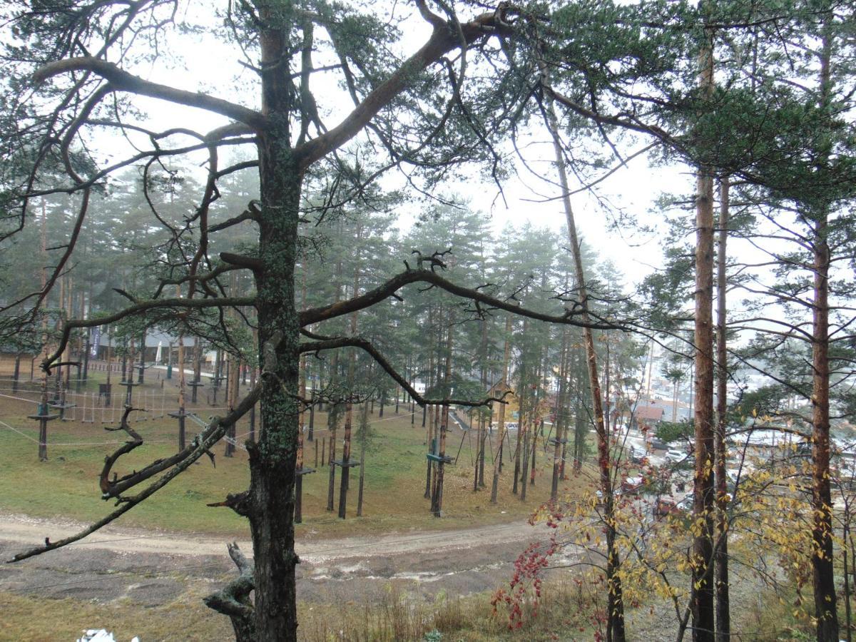 S33 Pekovic Apartment Zlatibor