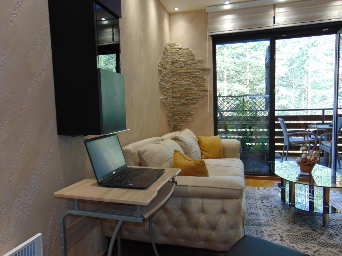 Apartment S33 Pekovic Zlatibor